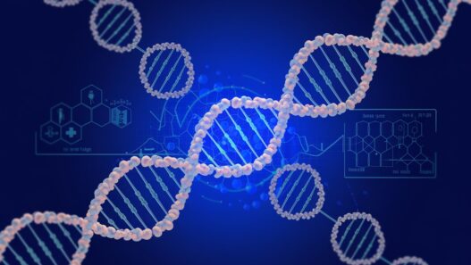 Jakie istnieją genetyczne predyspozycje do cukrzycy